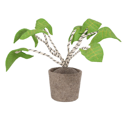 KidsDepot vilten plant Zebrina - groen