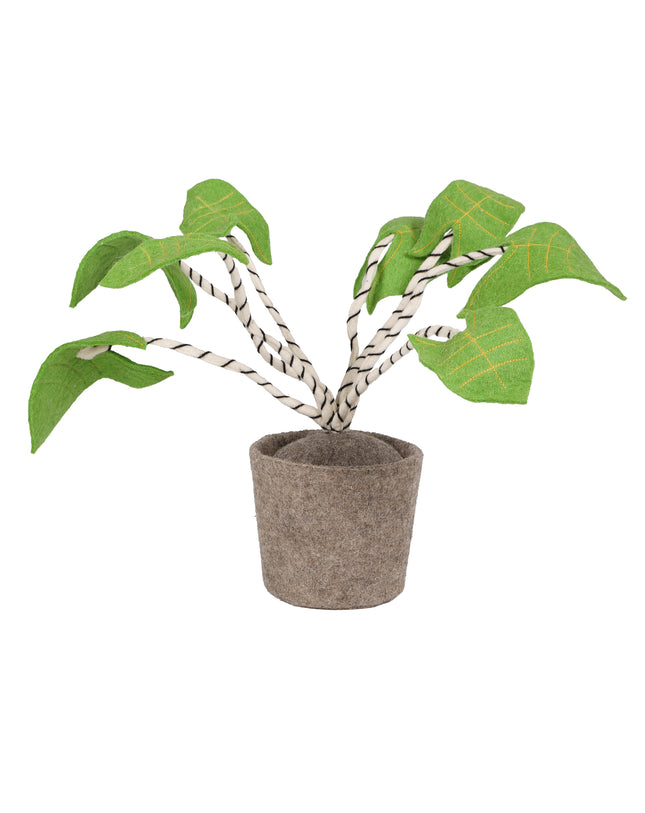 KidsDepot vilten plant Zebrina - groen