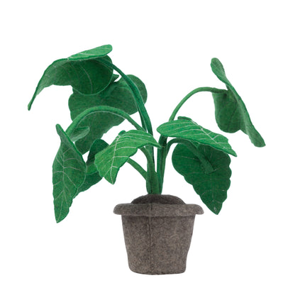 KidsDepot vilten plant Alocasia - Groen