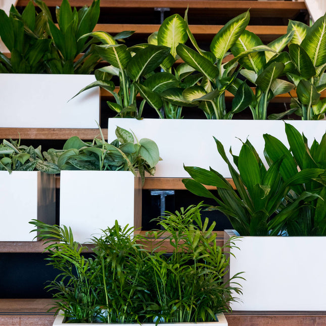 Pottery Pots Balcony XL, Matte White