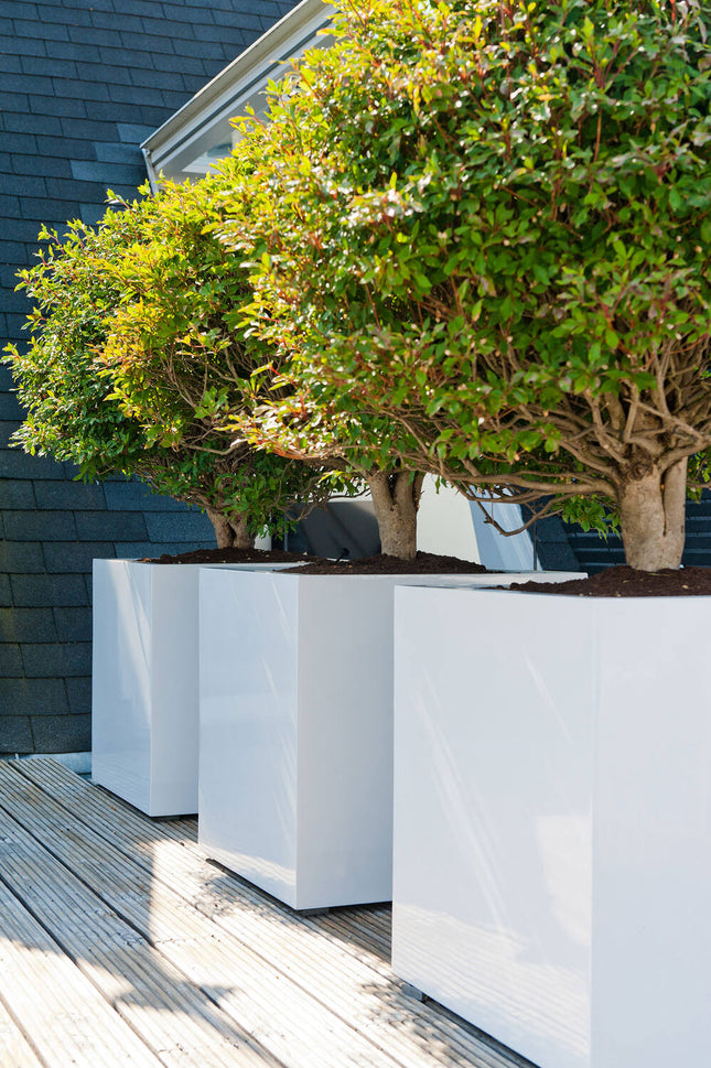 Pottery Pots Block S, Glossy White