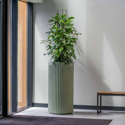 Pottery Pots Turris XL, Sage Green Ø48 cm