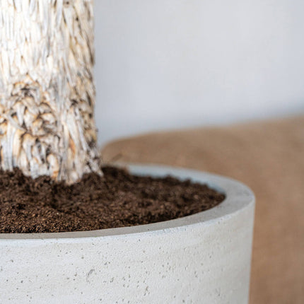 Dax Beige Vasket - L - D37 x H80 - Keramikpotter | Betonlook Plantekasse