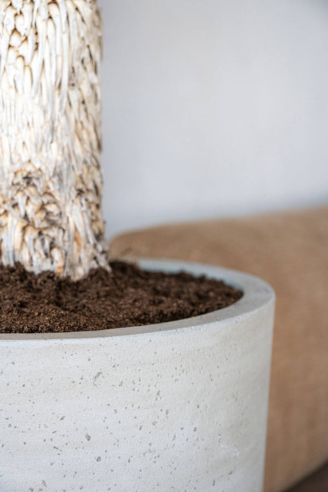 Dax Beige Washed - L - D37 x H80 - Pottery Pots | Betonlook Plantenbak