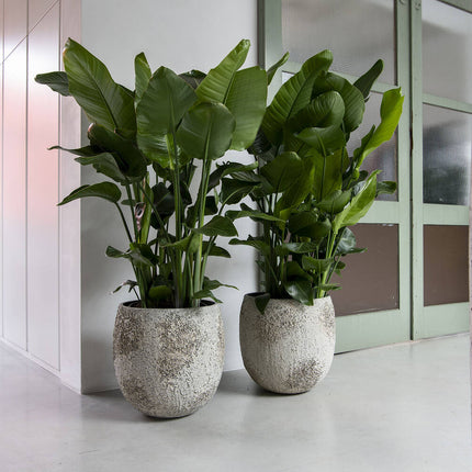 Pottery Pots Gillard S, Imperial White Ø40,3 cm