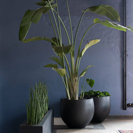 Pottery Pots Orb L, Zwart Ø57 cm