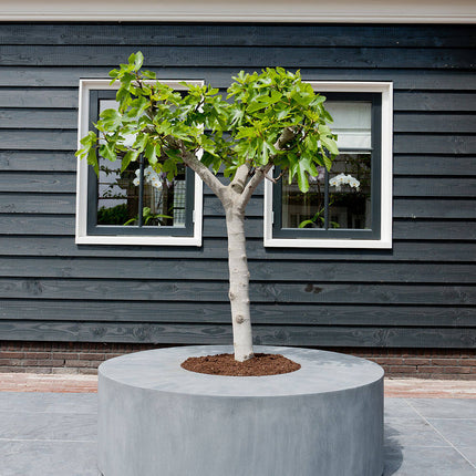 Pottery Pots Jumbo Seating Round, grijs Ø60 cm