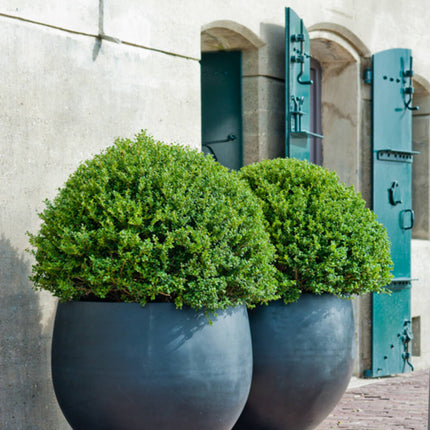 Pottery Pots Jumbo Orb L, Zwart Ø114 cm