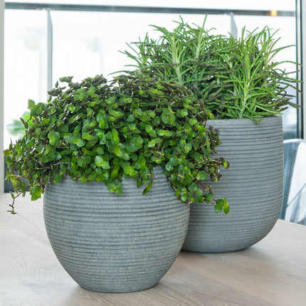 Pottery Pots Abby L, Dark Grey Ø37,1 cm (horizontaal geribbeld)