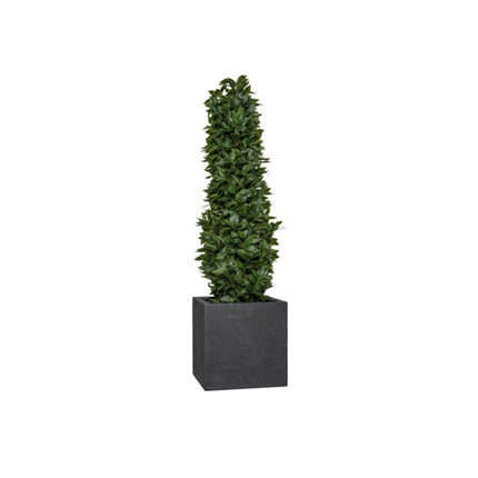 Pottery Pots Block M, Midnight Black