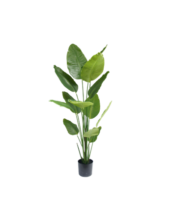 Strelitzia artificial plant 180 cm
