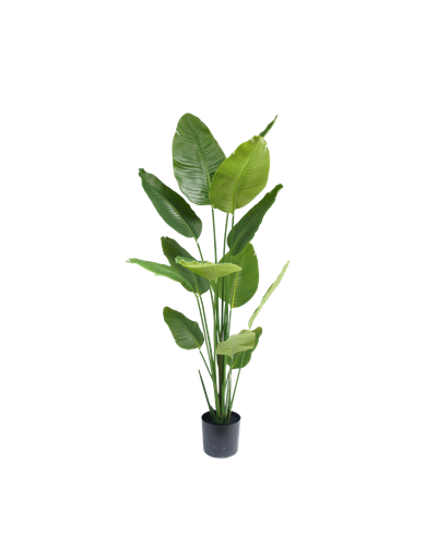 Strelitzia kunstplant 180 cm