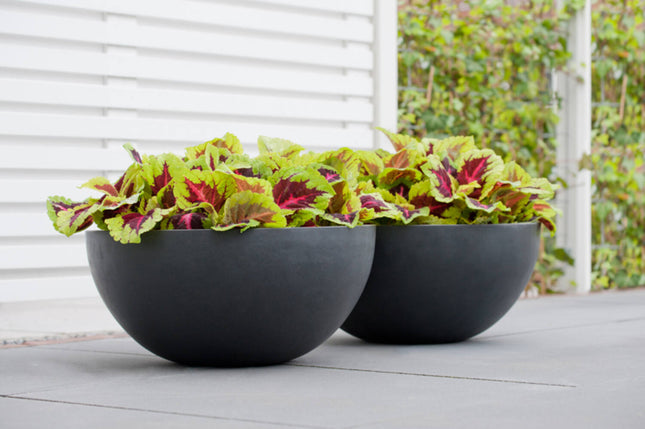 Pottery Pots Vic Bowl L, zwart Ø55 cm