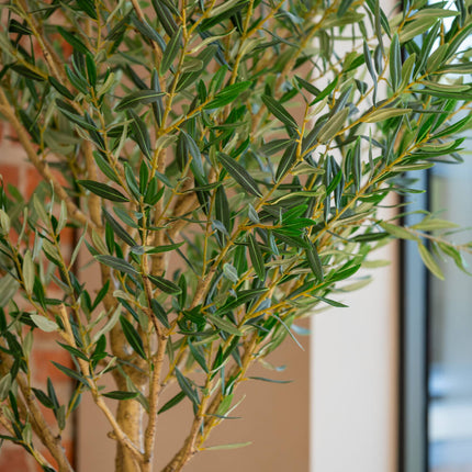 Konstgjord Olea Europaea-träd - Olivträd - ↕180cm