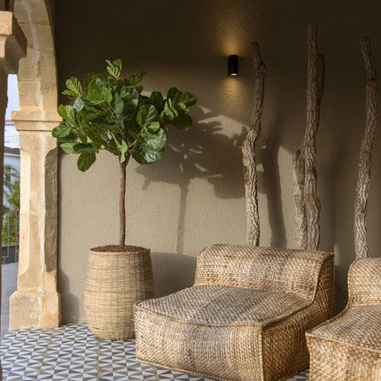 Kunstplant Ficus Lyrata - ↕150cm
