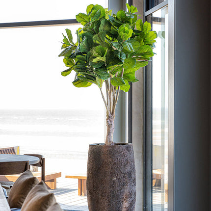 Kunstplant Ficus Lyrata - ↕180cm