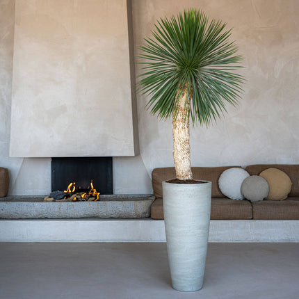 Dax Beige Vasket - L - D37 x H80 - Keramikpotter | Betonlook Plantekasse