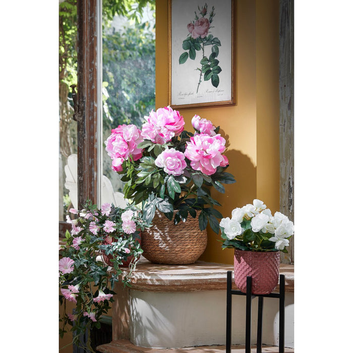 Plantenstandaard - L24 x B24 x H55 cm - Metaal - Zwart