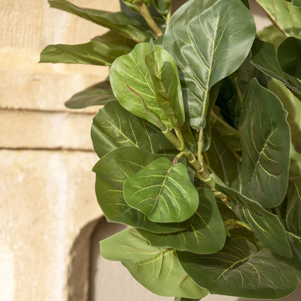 Kunstplant Ficus Lyrata - ↕150cm