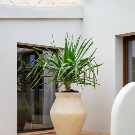 Pottery Pots Fleuri High L, Travertine Beige Ø37 cm