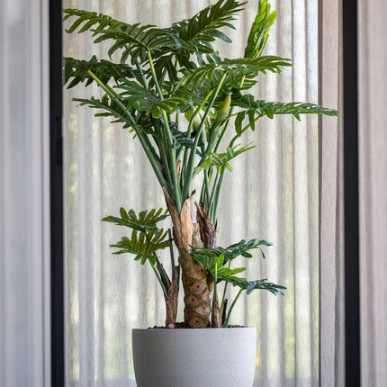 Konstväxt Philodendron - ↕160cm