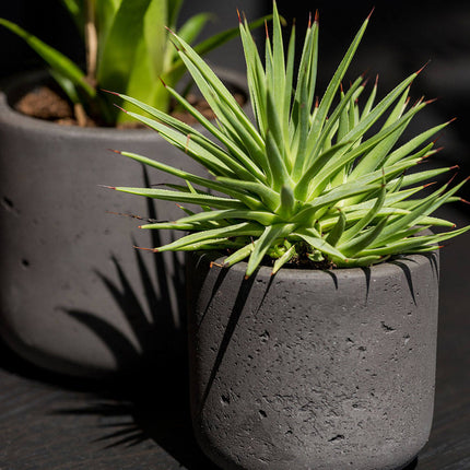 Pottery Pots Charlie XXL, Black Washed Ø41,6 cm