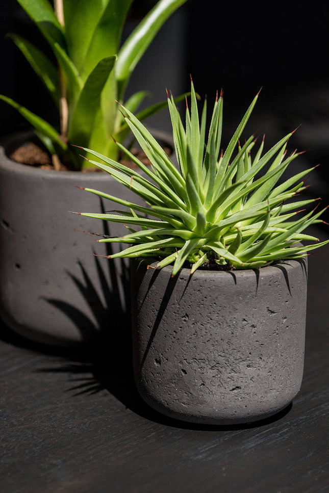 Pottery Pots Charlie XXL, Black Washed Ø41,6 cm