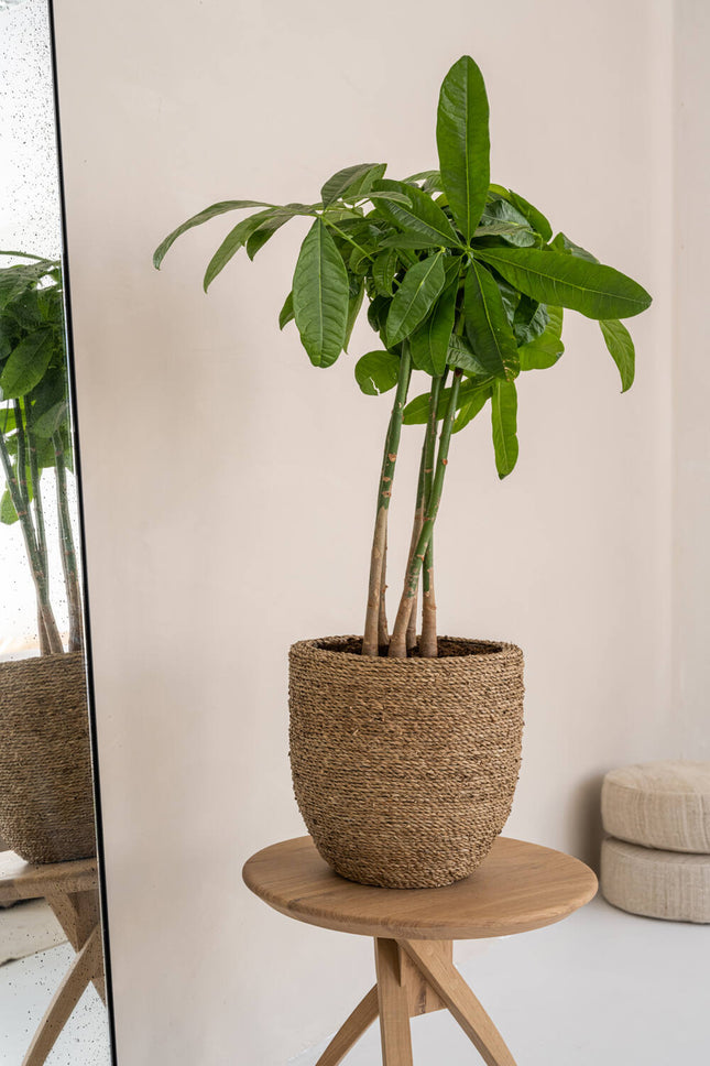 Pottery Pots Cody L, Straw Grass Ø33 cm