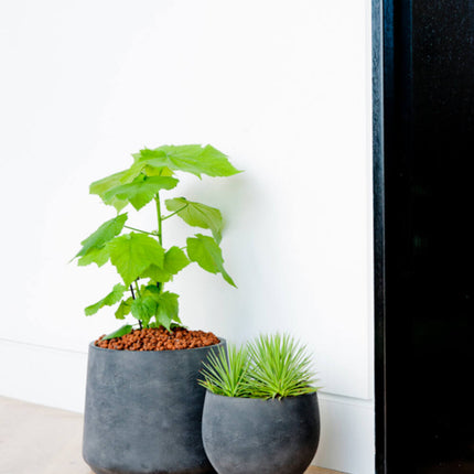Pottery Pots Patt XXXL, Black Washed Ø38,4cm