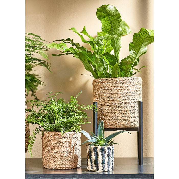 Plantenstandaard XL - L38 x B38 x H40cm - Metaal - Zwart