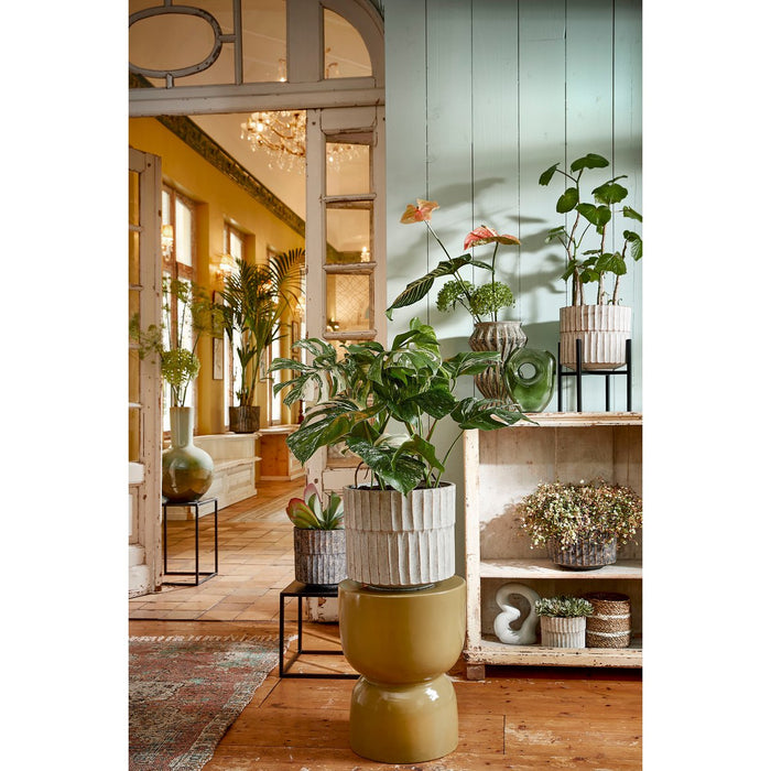 Plantenstandaard XL - L46 x B46 x H40 cm - Metaal - Zwart