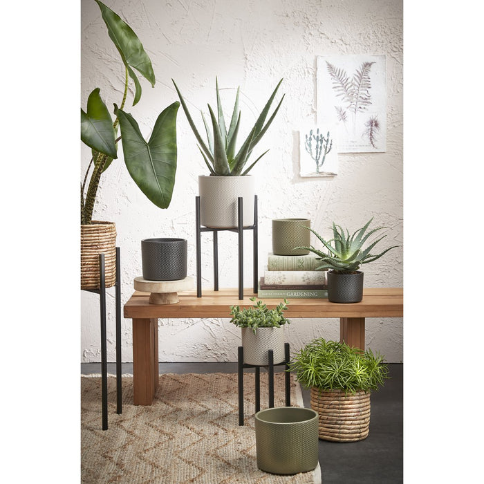 Plantenstandaard - L24 x B24 x H55 cm - Metaal - Zwart