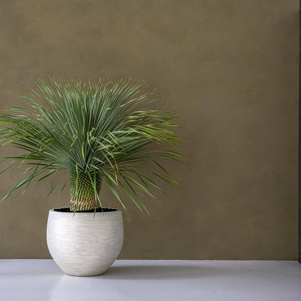 Pottery Pots Jumbo Orb S, Ivory Washed Ø73 cm