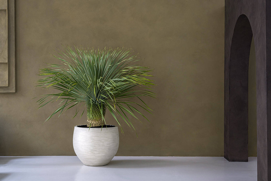 Pottery Pots Jumbo Orb S, Ivory Washed Ø73 cm