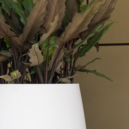 Pottery Pots Pax M, Matte White Ø32 cm