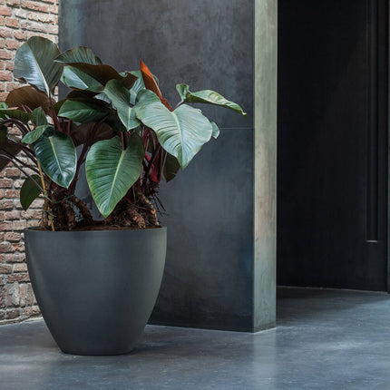 Pottery Pots Jesslyn M, Volcano Black Ø57 cm