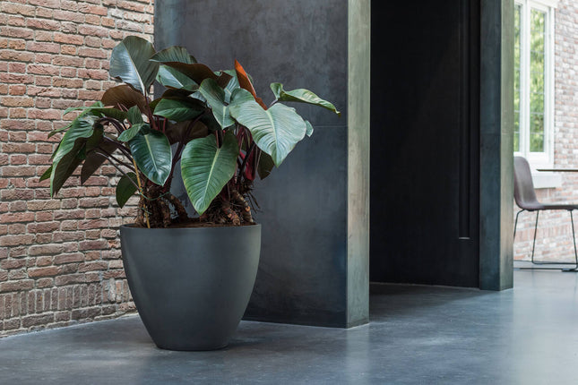 Pottery Pots Jesslyn M, Volcano Black Ø57 cm