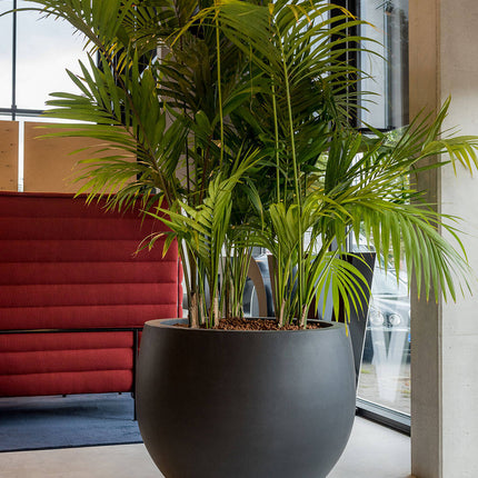 Pottery Pots Jumbo Orb S, Zwart Ø69 cm