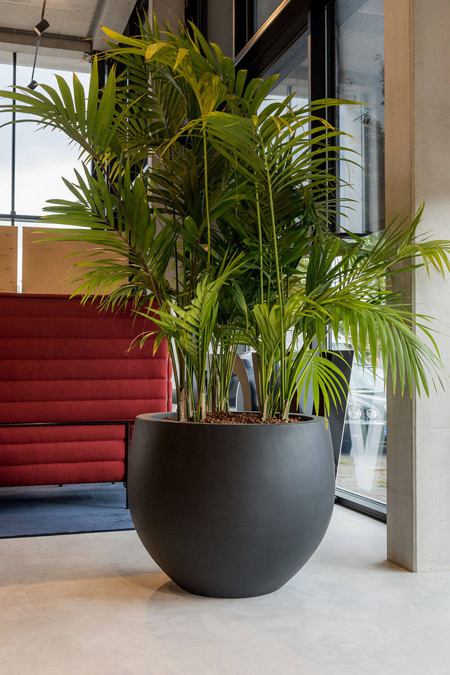 Pottery Pots Jumbo Orb S, Zwart Ø69 cm