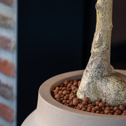 Pottery Pots Hera L, taupe Ø32 cm