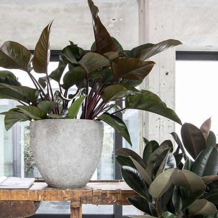 Pottery Pots Jesslyn XL, Imperial White Ø77 cm