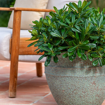 Pottery Pots Athena M, Rustic Green Ø33 cm