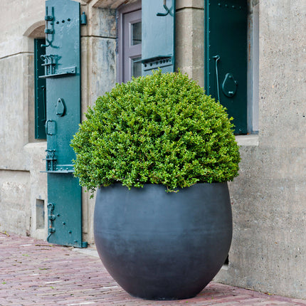 Pottery Pots Jumbo Orb M, Zwart Ø91 cm