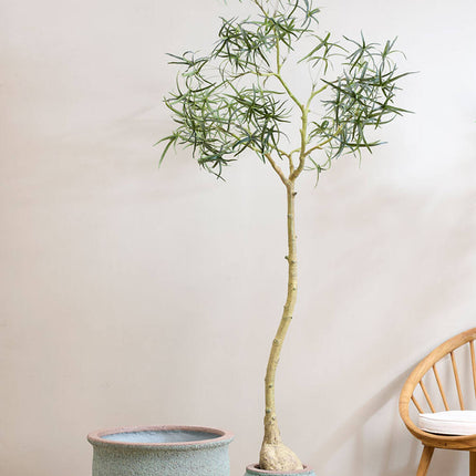 Pottery Pots Poseidon M, Rustic Green Ø45 cm