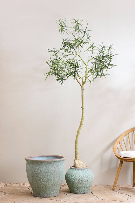 Pottery Pots Poseidon M, Rustic Green Ø45 cm