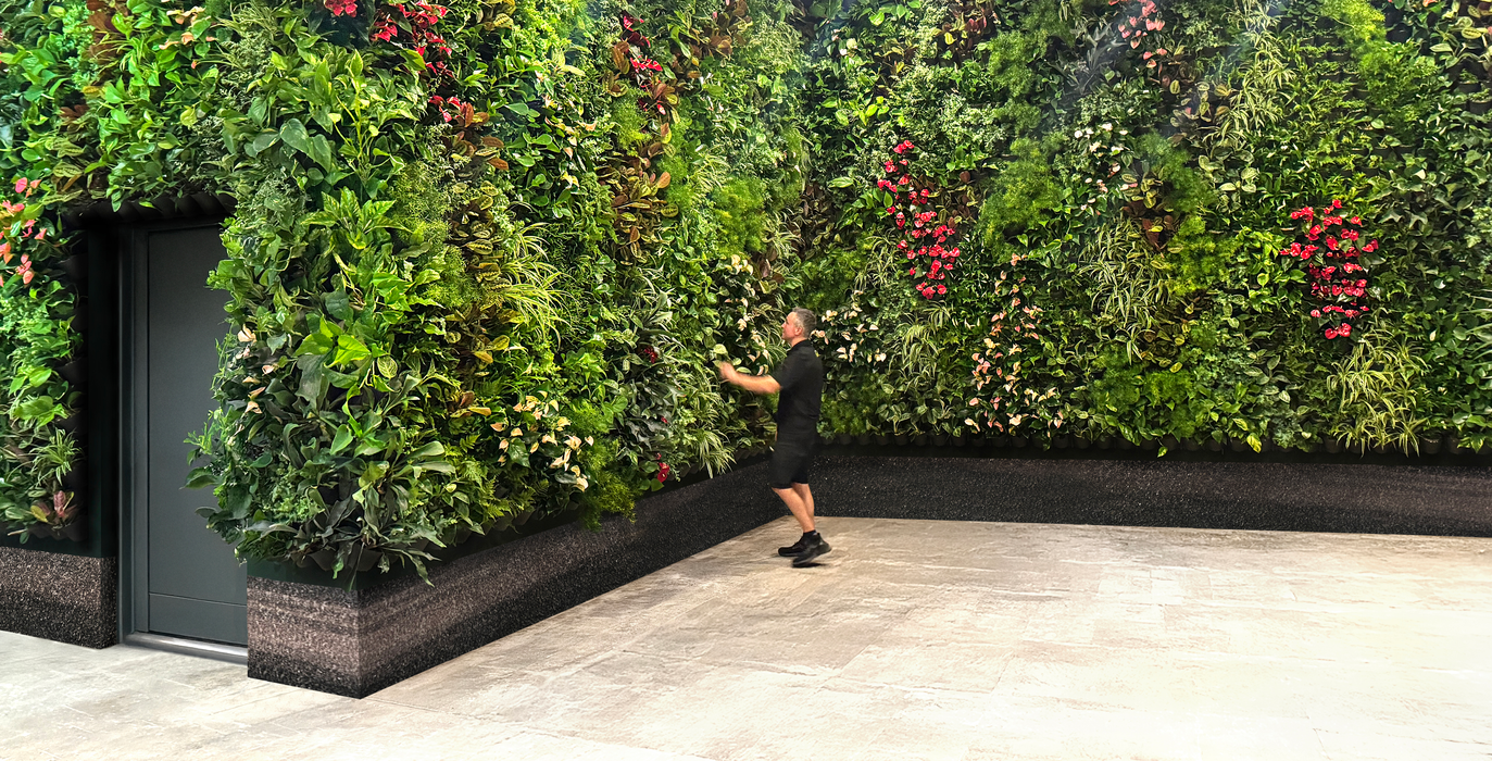 Groene Wand - Hangend muursysteem 215x300x20 cm - Planten wand