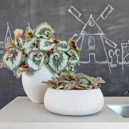 Pottery Pots Abby L, Light Grey Ø37,1 cm (horizontaal geribbeld)