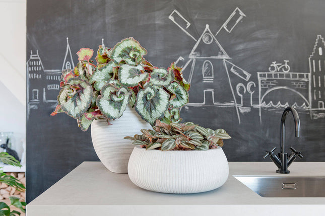 Pottery Pots Abby M, Light Grey Ø25 cm (horizontaal geribbeld)