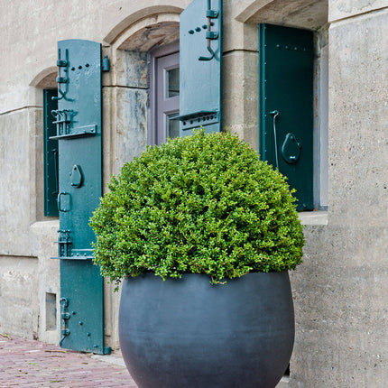Pottery Pots Jumbo Orb S, Zwart Ø69 cm