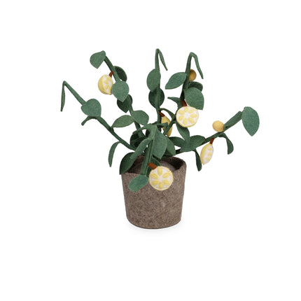 Kidsdepot vilten plant Citrus